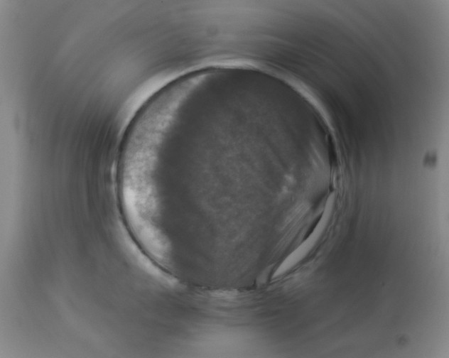 X0000113950959200910232004