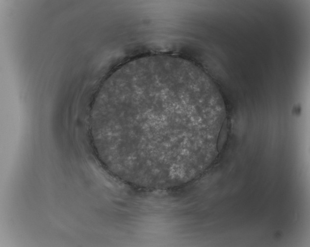 X0000113950961200910232003