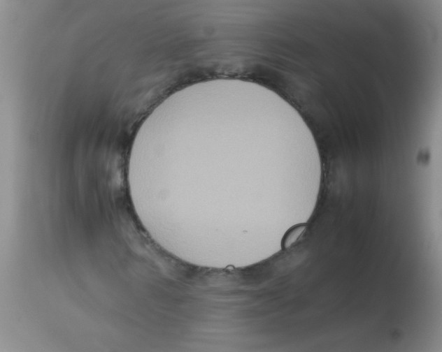 X0000113950962200910232003