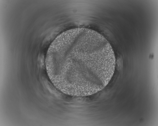 X0000113950963200910232003