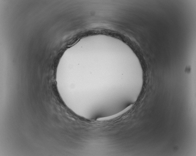 X0000113950965200910232003