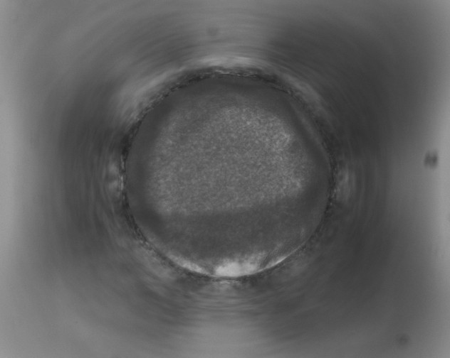 X0000113950966200910232003