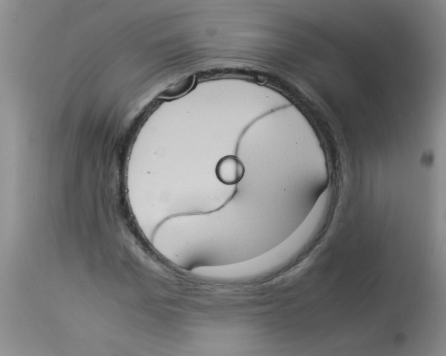 X0000113950969200910232003