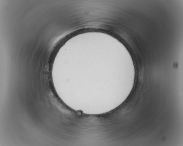 X0000113950971200910232003