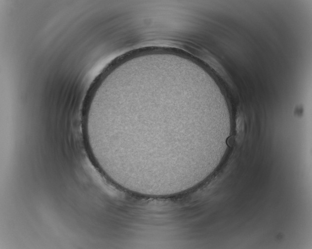 X0000113950972200910232003