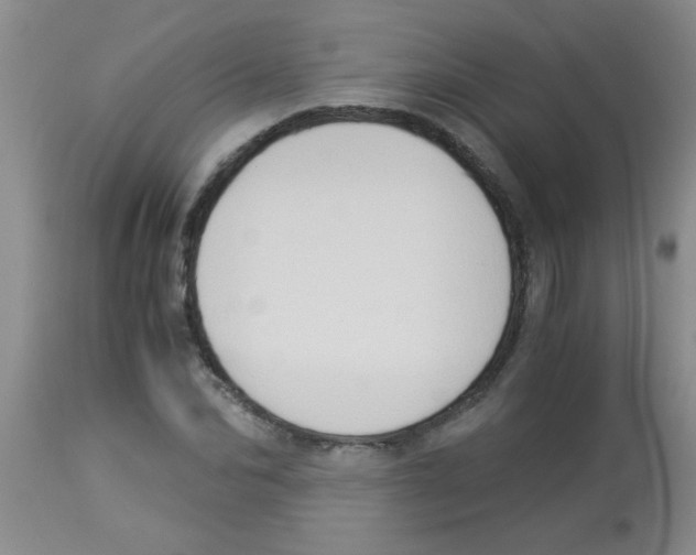 X0000113950974200910232003