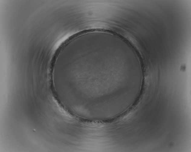 X0000113950975200910232002