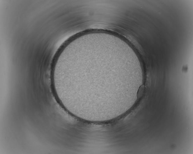 X0000113950976200910232002