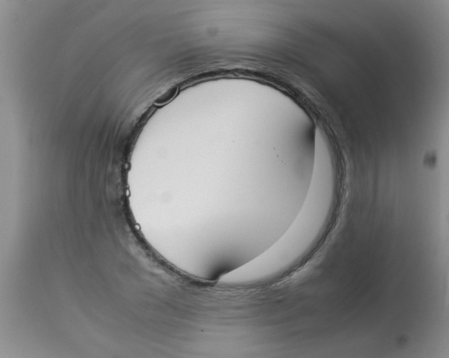 X0000113950977200910232002