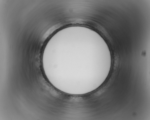 X0000113950978200910232002