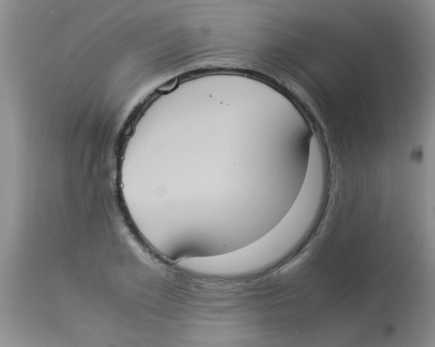 X0000113950981200910232002
