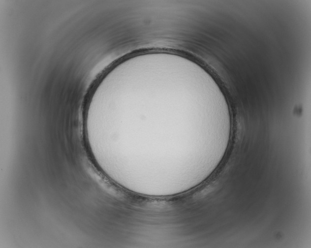 X0000113950982200910232002