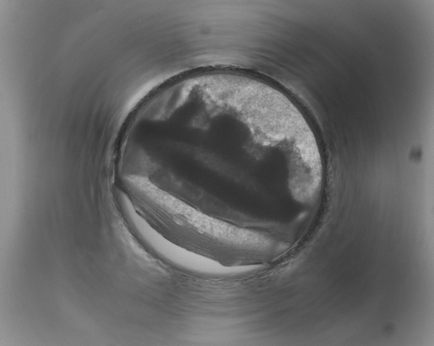 X0000113950983200910232002