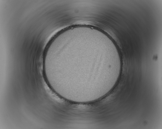 X0000113950984200910232002