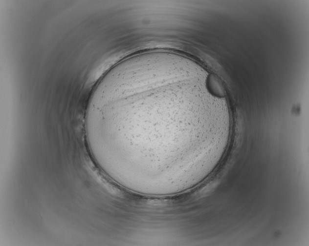 X0000113950985200910232002