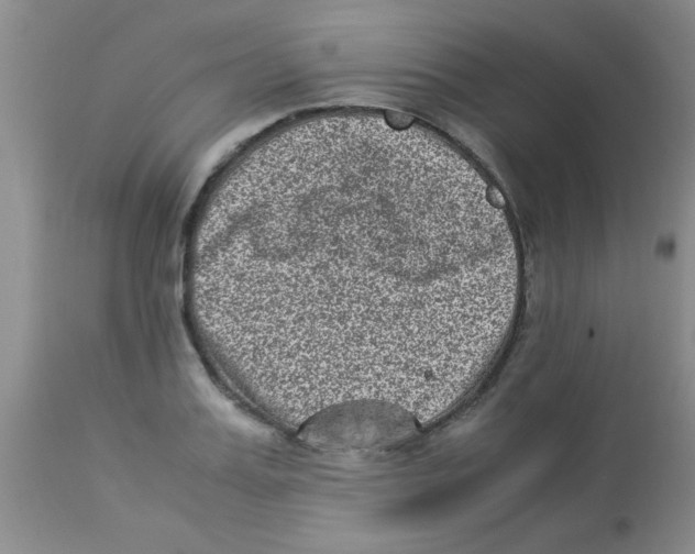 X0000113950987200910232002