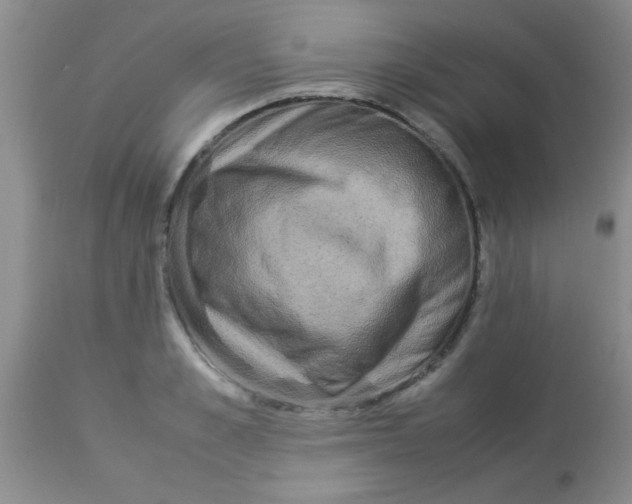 X0000113950989200910232002