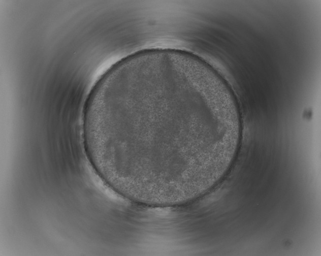 X0000113950990200910232002