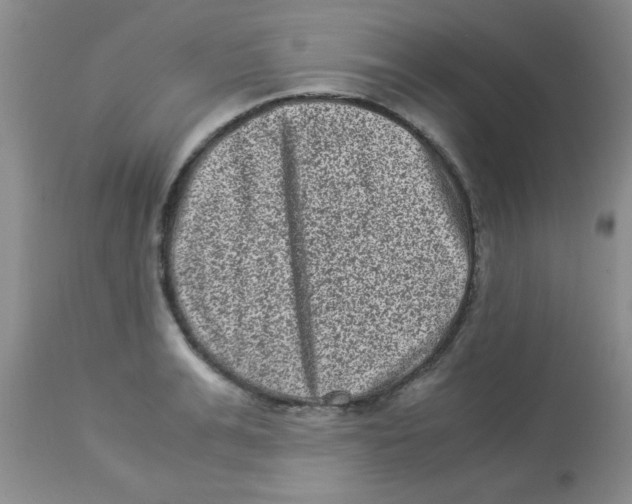X0000113950991200910232002