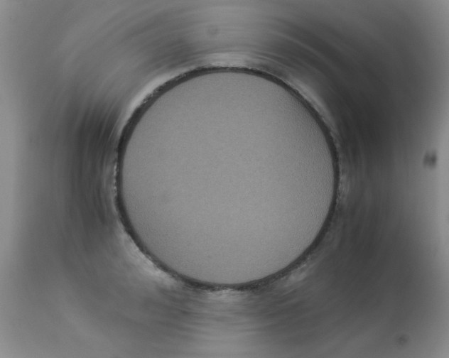 X0000113950992200910232002