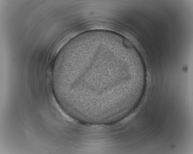 X0000113950993200910232002