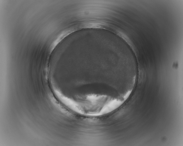 X0000113950994200910232002
