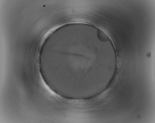 X0000113950995200910232002