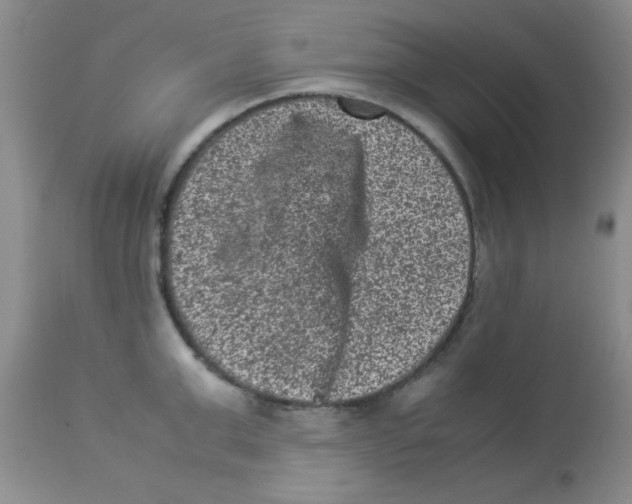 X0000113950999200910232002