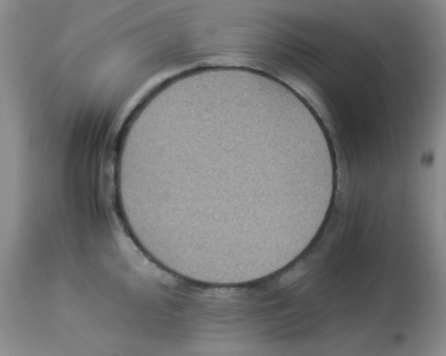X0000113951000200910232002