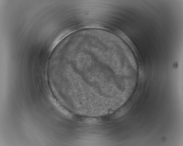 X0000113951002200910232002