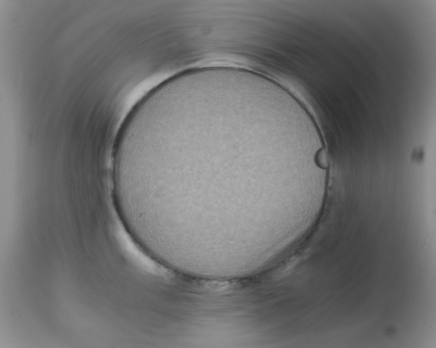 X0000113951003200910232002
