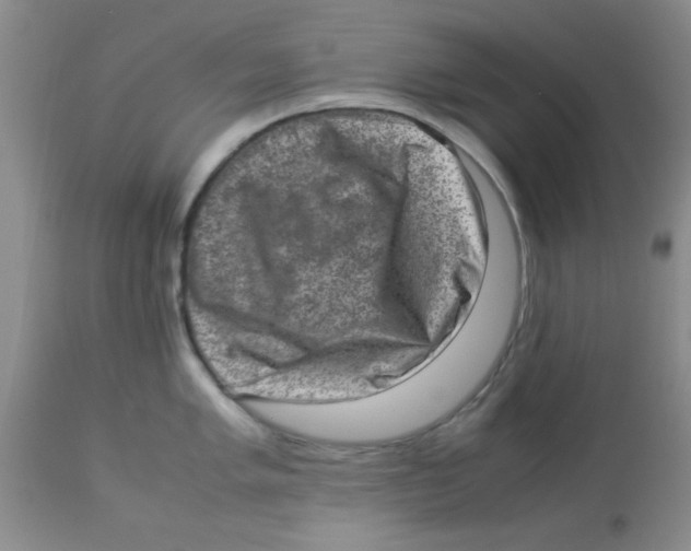 X0000113951005200910232002