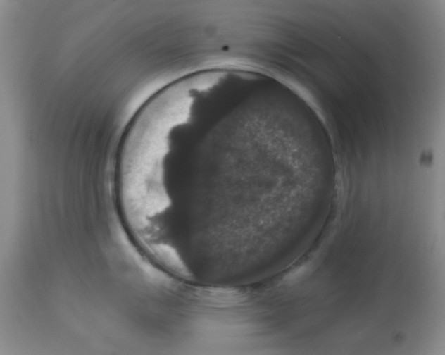 X0000113951007200910232002