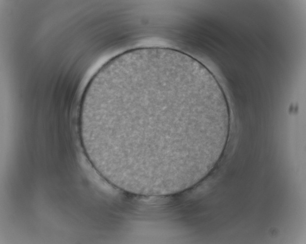 X0000113951008200910232002