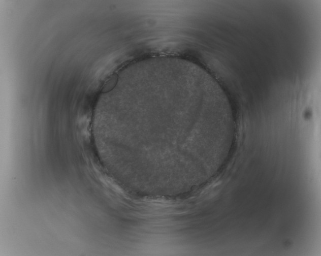 X0000113951010200910232001