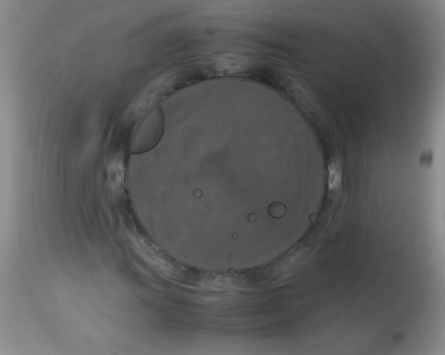 X0000113951011200910232001