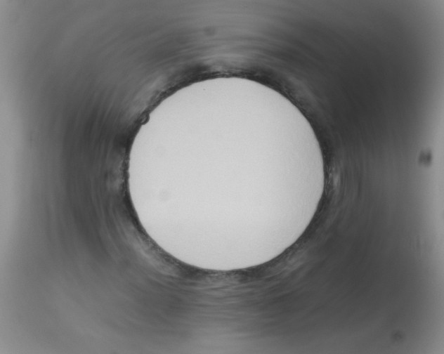 X0000113951012200910232001