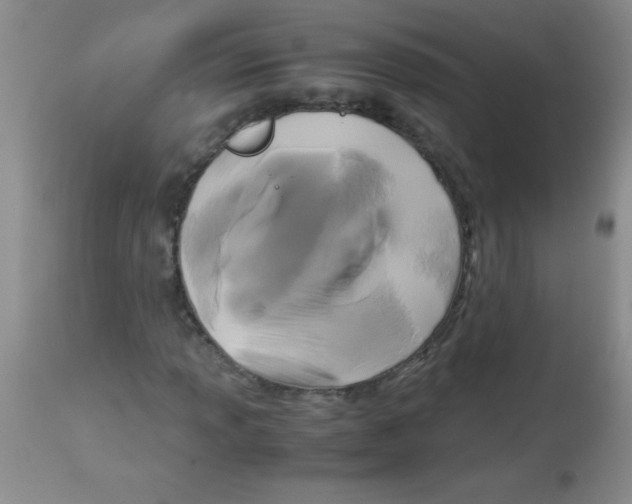 X0000113951013200910232001
