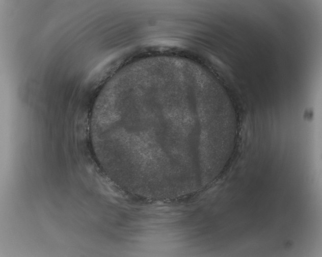 X0000113951014200910232001