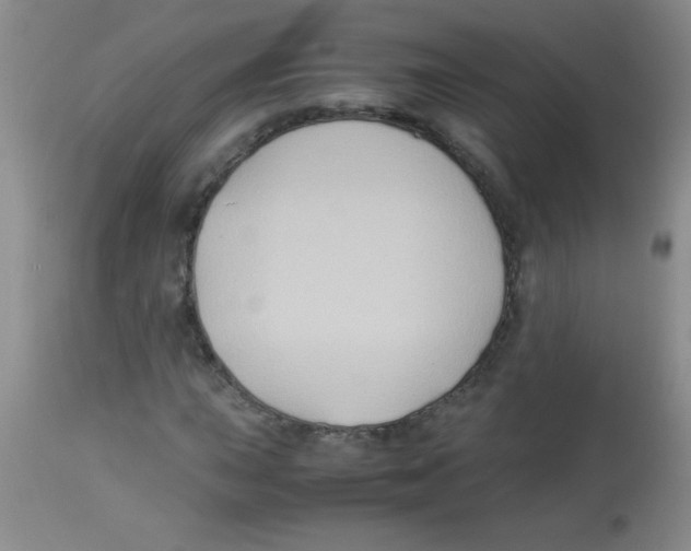 X0000113951015200910232001
