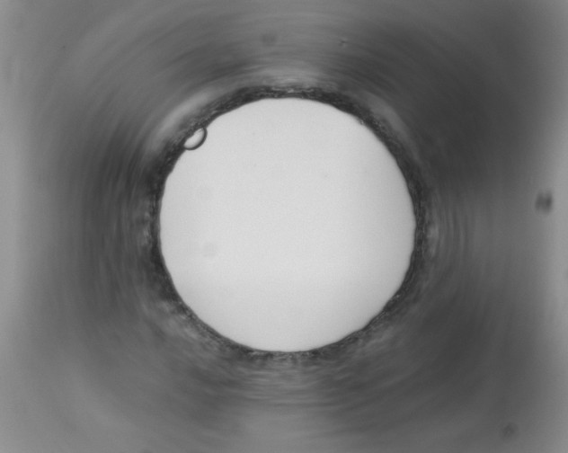 X0000113951016200910232001