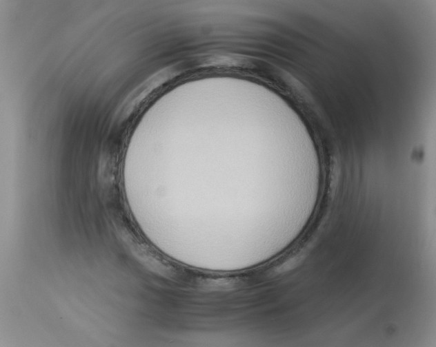 X0000113951017200910232001