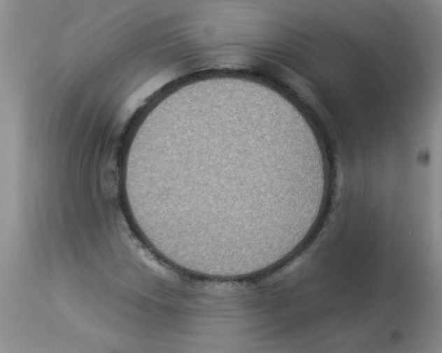 X0000113951018200910232001