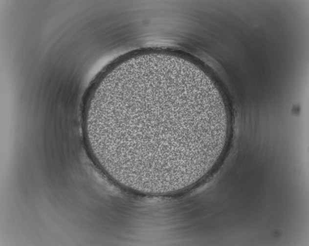 X0000113951022200910232001