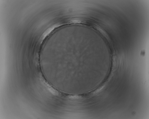 X0000113951023200910232001