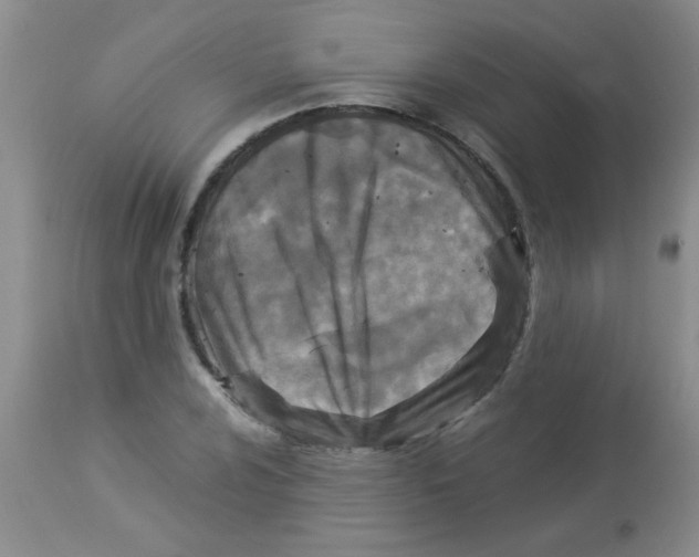 X0000113951024200910232001