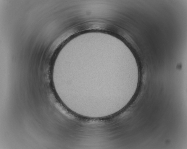 X0000113951026200910232002