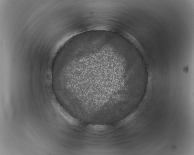 X0000113951027200910232002