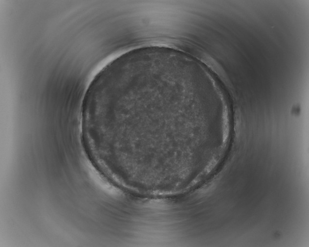 X0000113951028200910232002