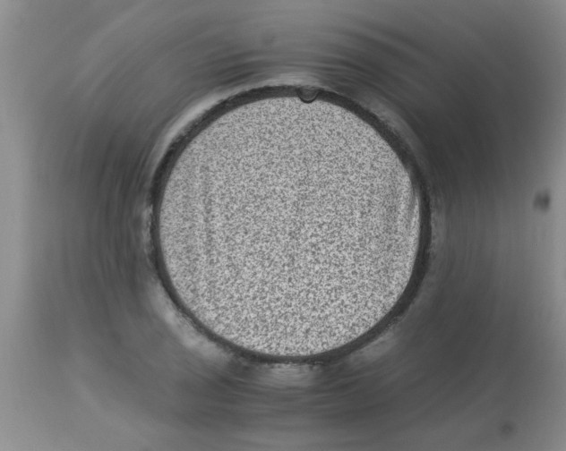 X0000113951029200910232002